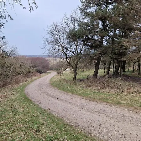 8 Person In Spottrup-by Traum Tatil Evi