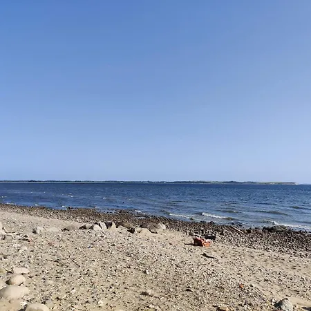 8 Person In Spottrup-by Traum *